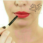 Precision Lip Brush code:29599